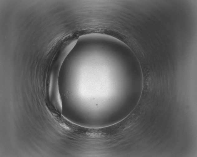 X0000077980693200611031400