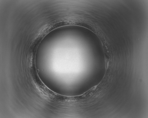 X0000077980694200611031400