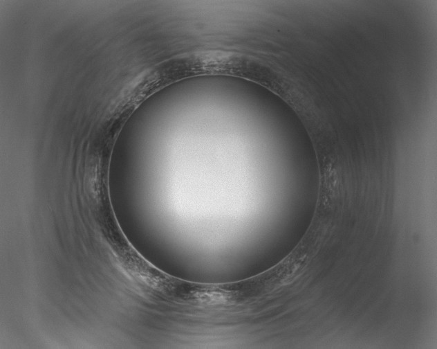 X0000077980698200611031400