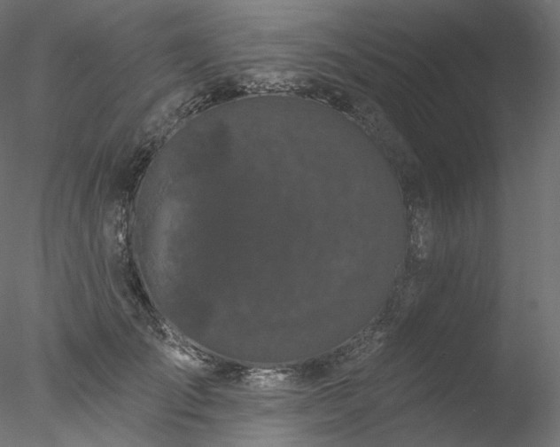 X0000077980701200611031400