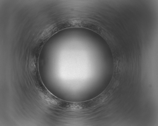 X0000077980702200611031400