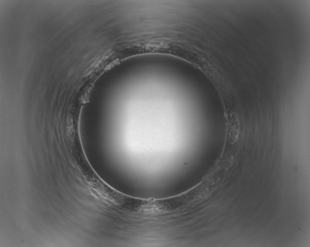 X0000077980704200611031400