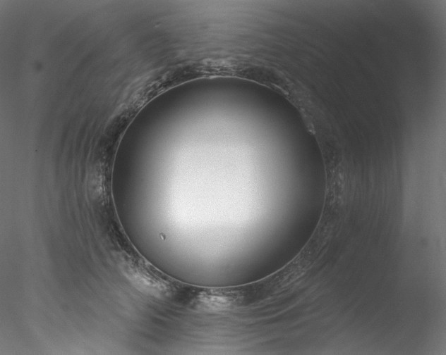 X0000077980706200611031400