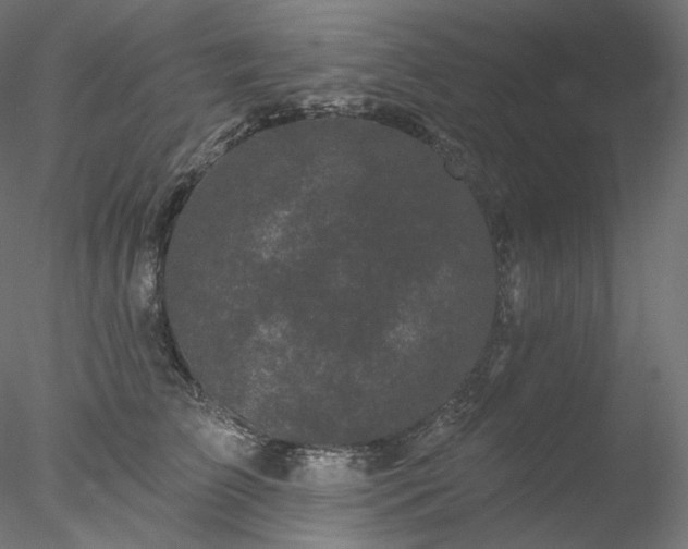 X0000077980709200611031400