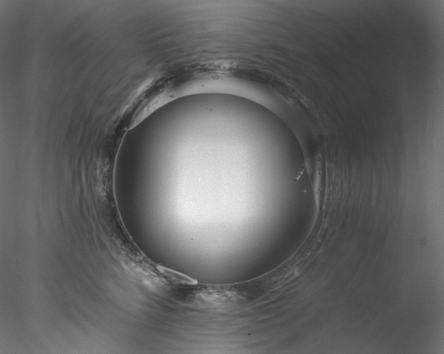 X0000077980712200611031359