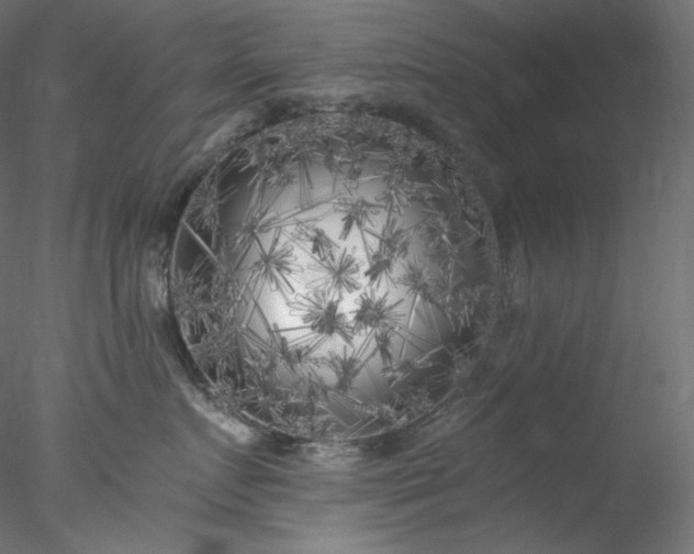 X0000077980719200611031359