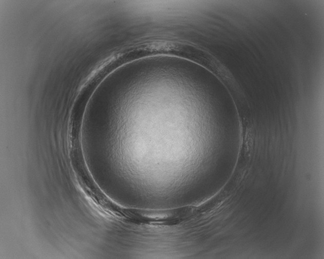 X0000077980722200611031359