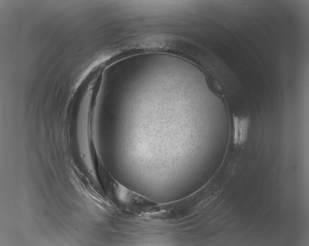 X0000077980723200611031359