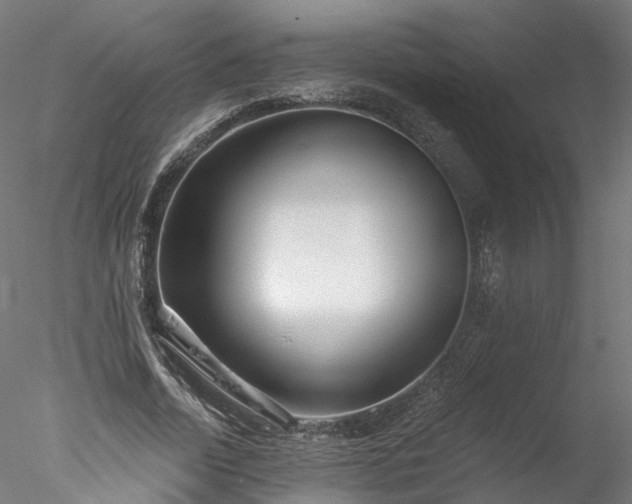 X0000077980730200611031359