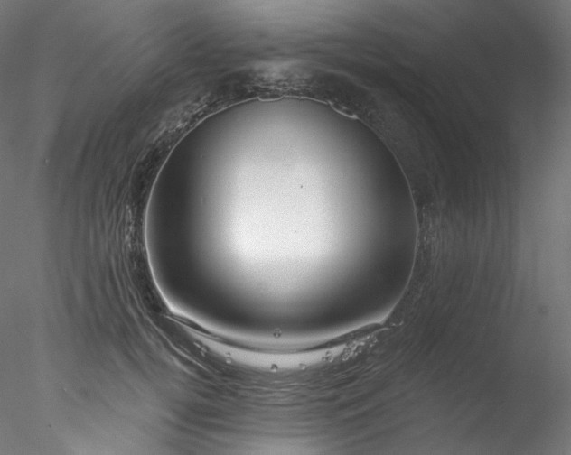 X0000077980752200611031359