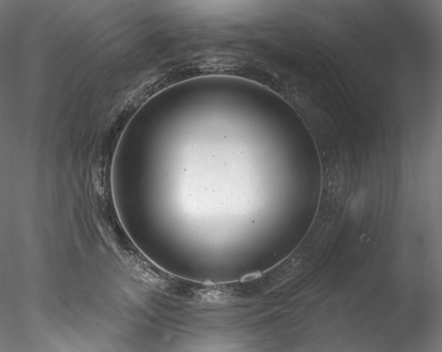 X0000077980755200611031359
