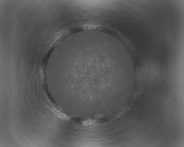 X0000077980761200611031359