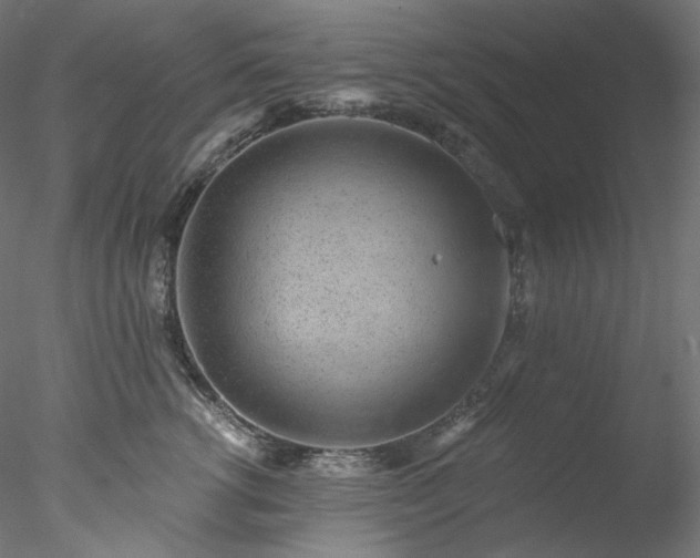 X0000077980762200611031359
