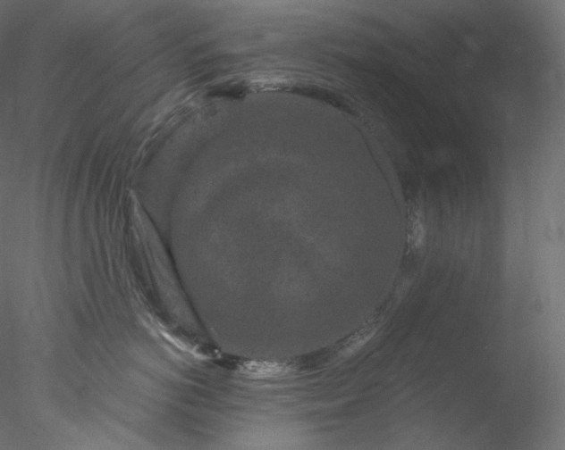 X0000077980766200611031359