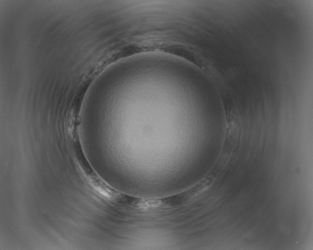 X0000077980767200611031359