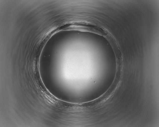 X0000077980777200611031358