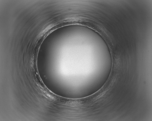 X0000077980778200611031358
