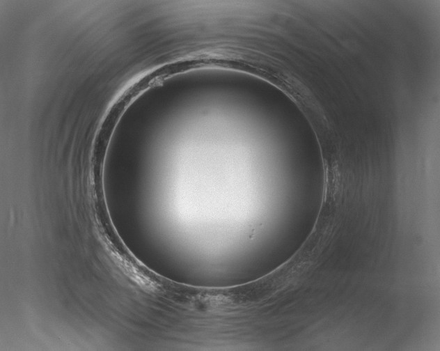 X0000077980784200611031358