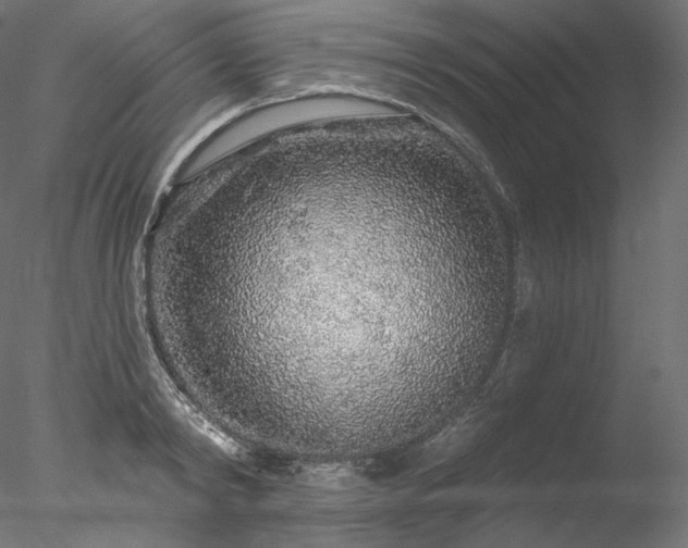 X0000077980798200611031358
