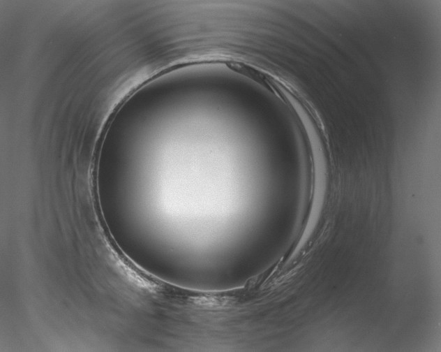 X0000077980805200611031358