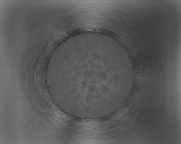 X0000077980817200611031357