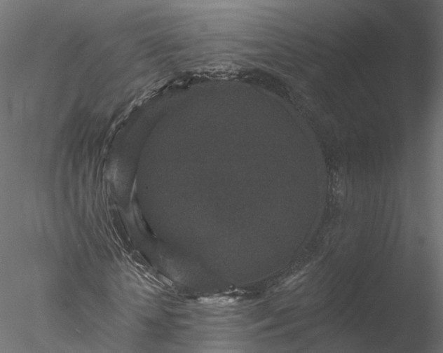 X0000077980818200611031357