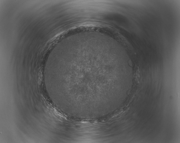 X0000077980821200611031357