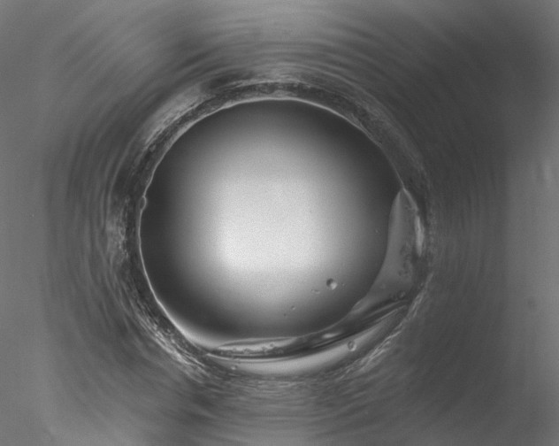 X0000077980826200611031357