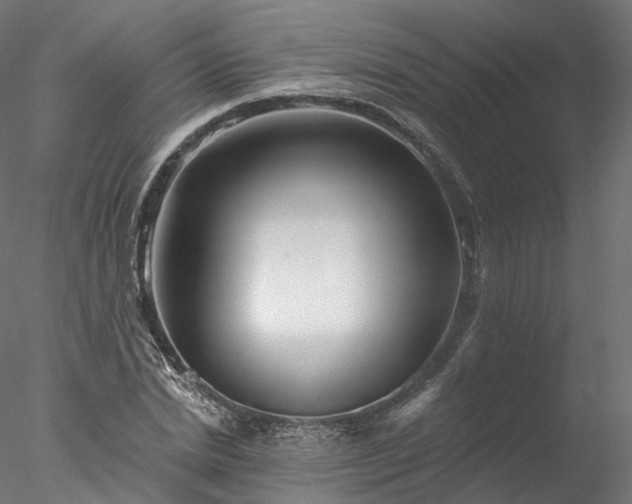 X0000077980830200611031357