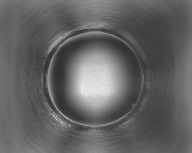 X0000077980834200611031357