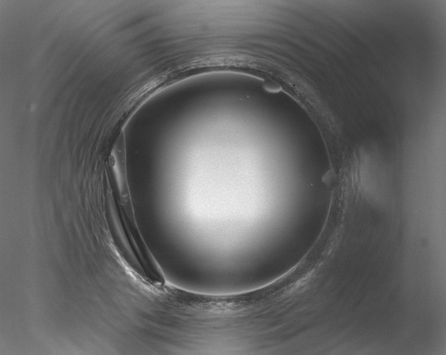 X0000077980841200611031357