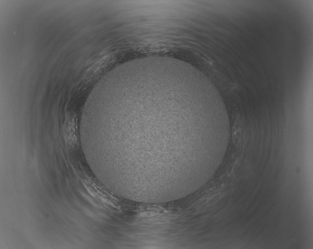 X0000077980866200611031357