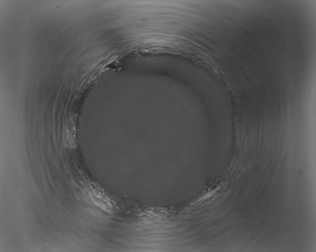 X0000077980868200611031357