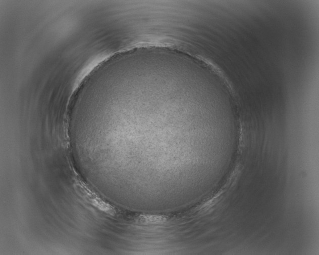 X0000077980878200611031357