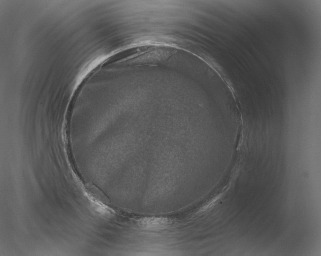 X0000077980893200611031356