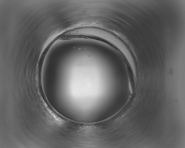X0000077980894200611031356