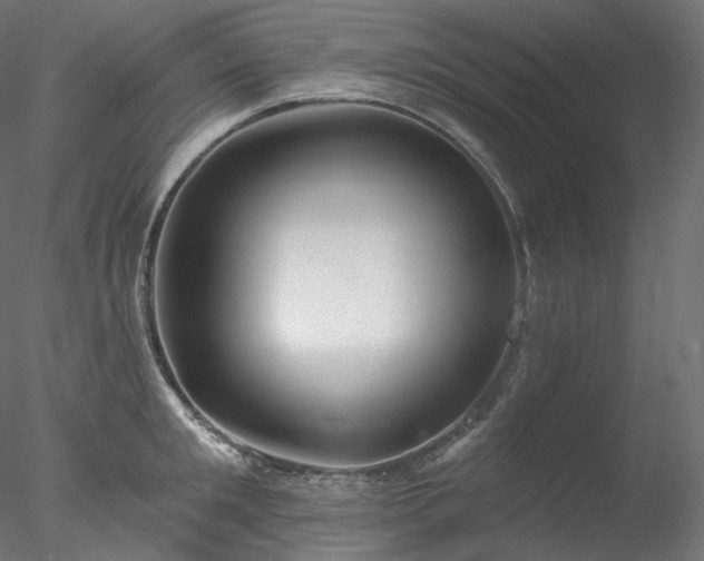 X0000077980901200611031356