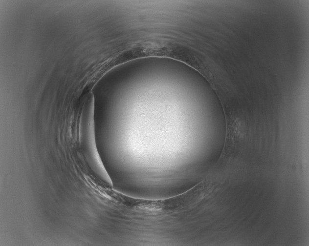 X0000077980914200611031355