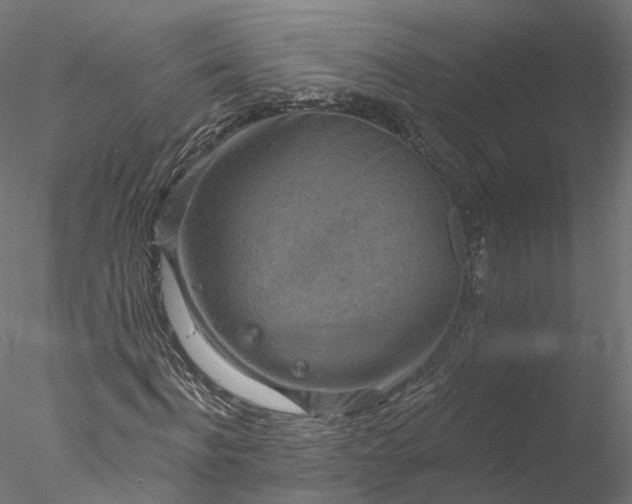 X0000077980916200611031355