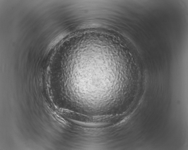 X0000077980921200611031355