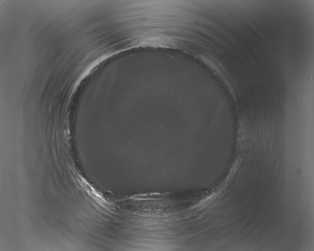 X0000077980923200611031355
