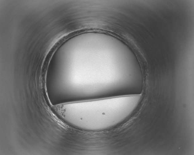 X0000077980924200611031355