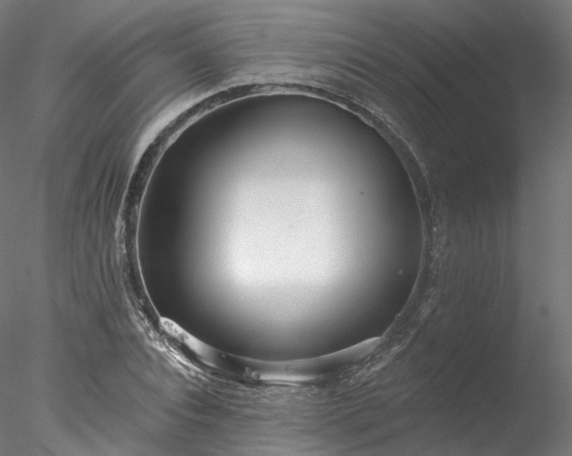X0000077980928200611031356