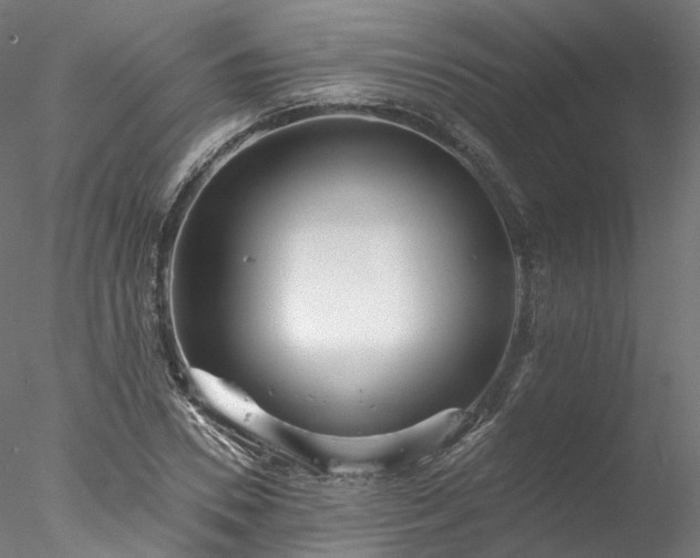 X0000077980930200611031356