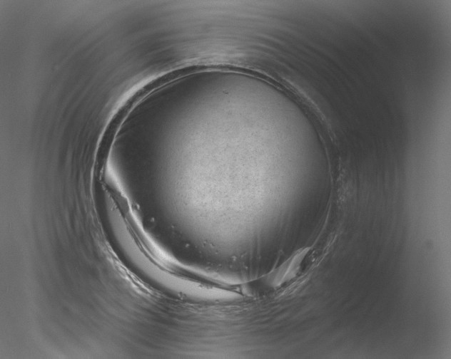 X0000077980932200611031356