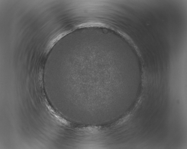 X0000077980937200611031356