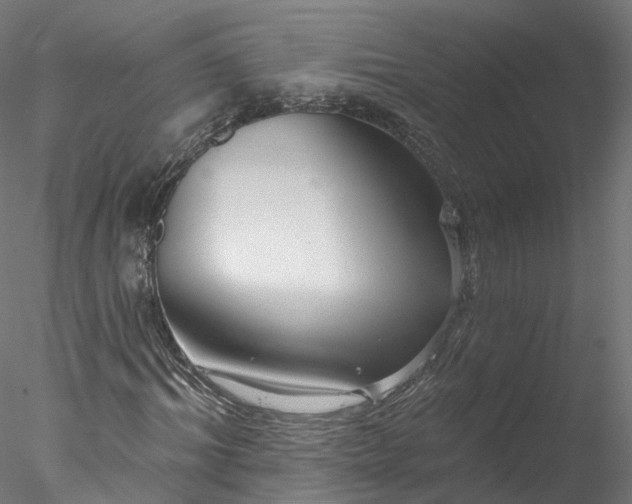 X0000077980964200611031355