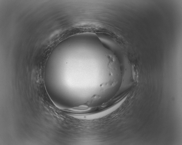X0000077980965200611031355