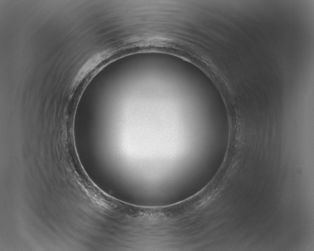 X0000077980978200611031355
