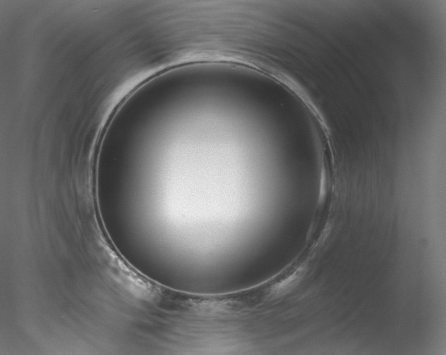 X0000077981004200611031355